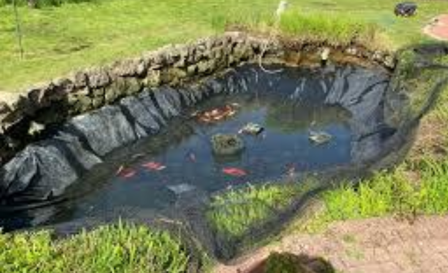 Pond Maintenance Near Me