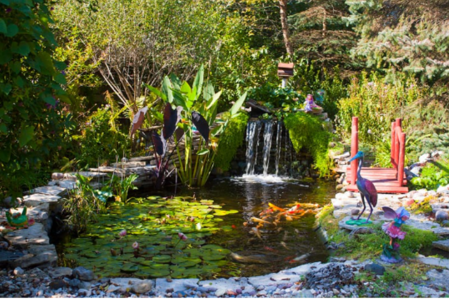 The Ultimate Koi Pond Building Guide: Design, Filtration & Care